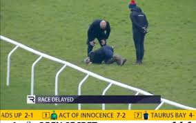Unusual Hole On Cheltenham Course Delays Saturday's Final Race, Drainage Issue Suspected