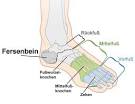 Fersenbein