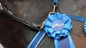 Bildresultat för vm i v75