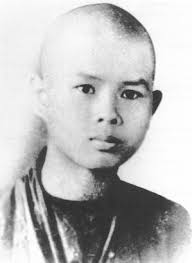 Image result for thich nhat hanh