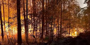 Fire weather watches set for Volusia, Flagler, as temps soar