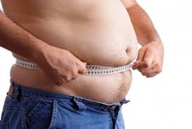 Resultado de imagen para grasa visceral