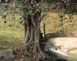 National Zoological Park, New Delhi