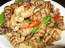 [Hình: images?q=tbn:ANd9GcQgyUCiqA6fnwX2dzmCXZZ...wcmq9N-XAK]