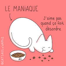 Résultat de recherche d'images pour "chaton qui mange"