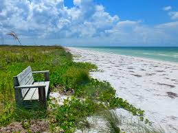 Image result for honeymoon island rocky beach