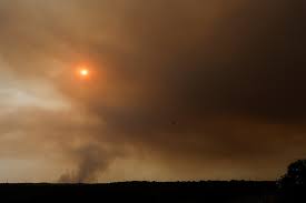 Heat blamed for 2,149 deaths in Spain last month, data shows — Reuters