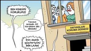Erdil Yaşaroğlu ile ilgili görsel sonucu