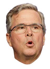 Image result for jeb bush
