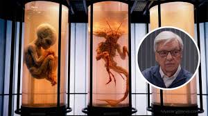 Exasesor científico del gobierno afirma que EE.UU. oculta restos biológicos de 4 especies extraterrestres