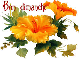 Résultat de recherche d'images pour "bon dimanche"