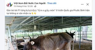 Báo điện tử Tiền Phong - News update