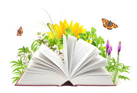 Image result for book