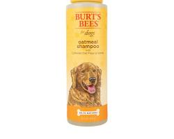 Burt's Bees Natural Oatmeal Shampoo