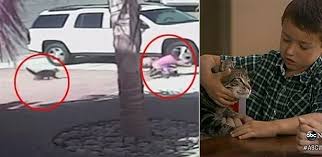 Imagem relacionada