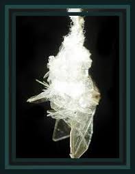 Image result for dmt crystal