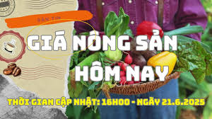 Laodong.vn - News update
