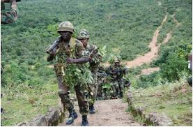 Image result for nigerian army