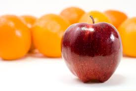 Stand Out Results helps their clients stand out from their competition