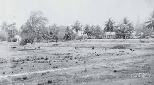 Image result for GUYANA INDENTURED INDIANS