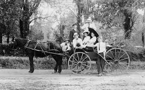 Image result for horse and carriage