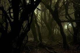 Resultado de imagen de bosques terrorificos