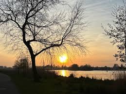 Rijnmond - News update