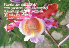 Resultado de imagen para frases sabias de amor para la vida