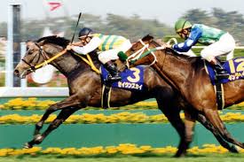 武豊が珍しく漏らした「不満」グリーンベルトの〝恩恵〟を最大限利用したセイウンスカイ 1998年・皐月賞（東スポ競馬）