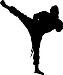 Hasil gambar untuk ninja