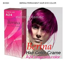 Berina Permanent Hair Dye Color Cream Punky Punk Goth Emo Cool Hot Crezy Fashion | eBay - 687887543_o