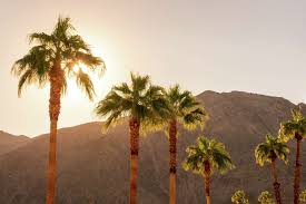 Palm Springs Faces Tourism Dip, Issues Appeal to Canadian Visitors