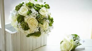 Image result for beautiful white roses images