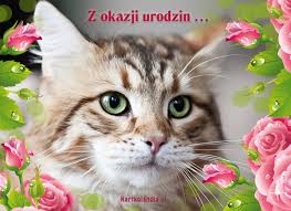 Obrazek