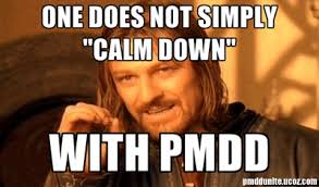 Image result for pmdd meme