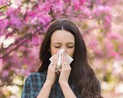 Image of someone sneezing with a cloud of pollen around them