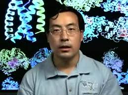 The Association of Tetrameric Acetylcholinesterase with ColQ Tail: A Block Normal Mode Analysis. Deqiang Zhang, J. andrew Mccammon. Issue: PLoS Comput Biol. - 2526