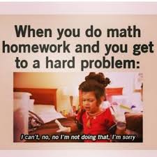 Image result for funny memes about homework