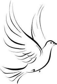 Image result for dove pictures
