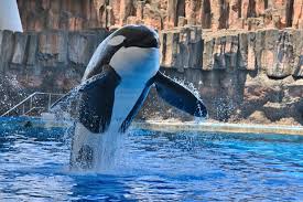 名古屋港水族館 - News update