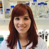 Lightdash Employee Jess Hitchcock's profile photo