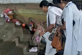At least 35 injured in crowd crush at Kolkata Durga Puja pandal