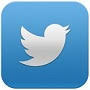 Image result for twitter icon 90x90