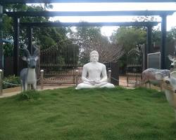 Mahavir Harina Vanasthali National Park, Hyderabad