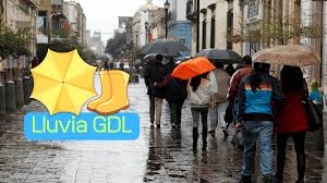 El Informador - News update
