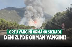 Denizli 24 Haber - News update