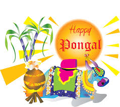 Image result for pongal festival images