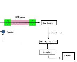 Liquid ChromatographyMass Spectrometry (LCMS) instrument