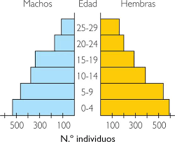 http://www.primaria.librosvivos.net/archivosCMS/3/3/16/usuarios/103294/9/5EP_Cono_cas_ud12_piramide_pobl/frame_prim.swf