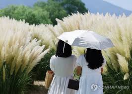연합뉴스 - News update